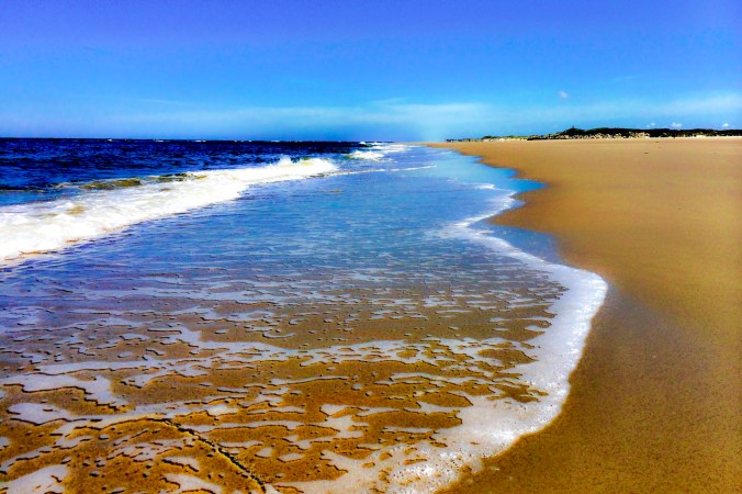 010f8e2d9c9e39a06c57f0ecccec317ef631215bab_cr