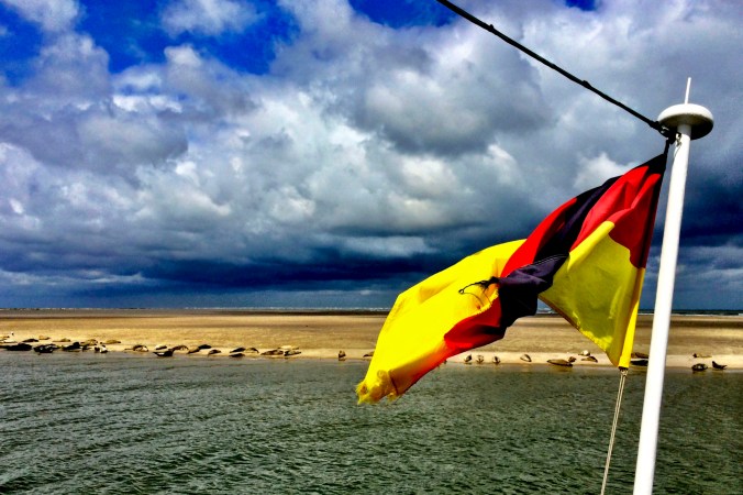 0129fa94853a797e92ca250c04ad0052881e2cde4d_cr