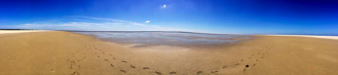 014fe3e359847f57b579a06af632b91d84c05b1e45_cr