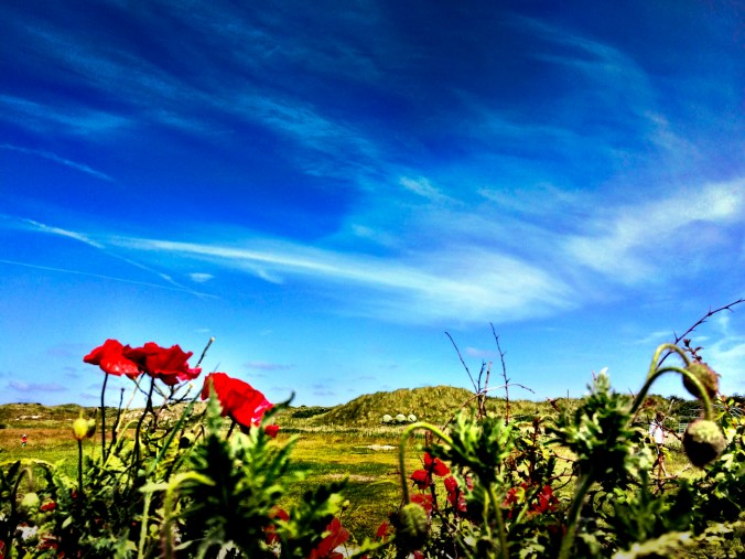 0156c455bc98719d2b7cb2f9701bd319c8e341430e_cr