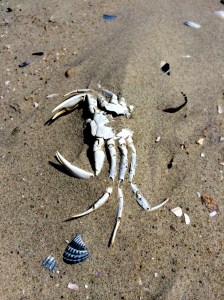 017856b7e83535a2adcf57fe9134c36be7a261a258_cr