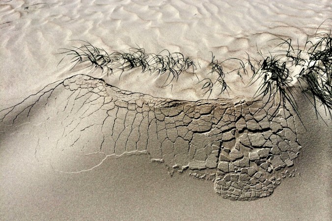 01c6d5bfc849327a7efc105d680a9c05c4fdd55658_cr