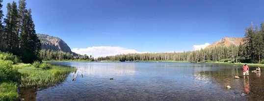 13882259_10154399554953158_3444726098083310259_n